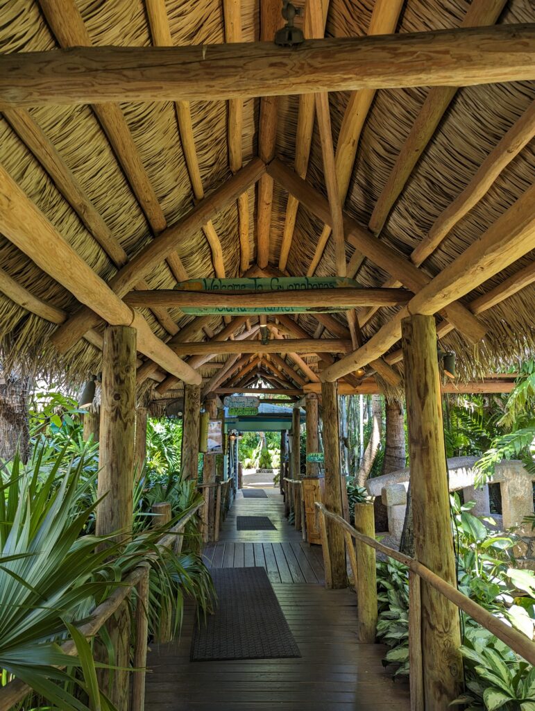 PXL_20230920_154956615