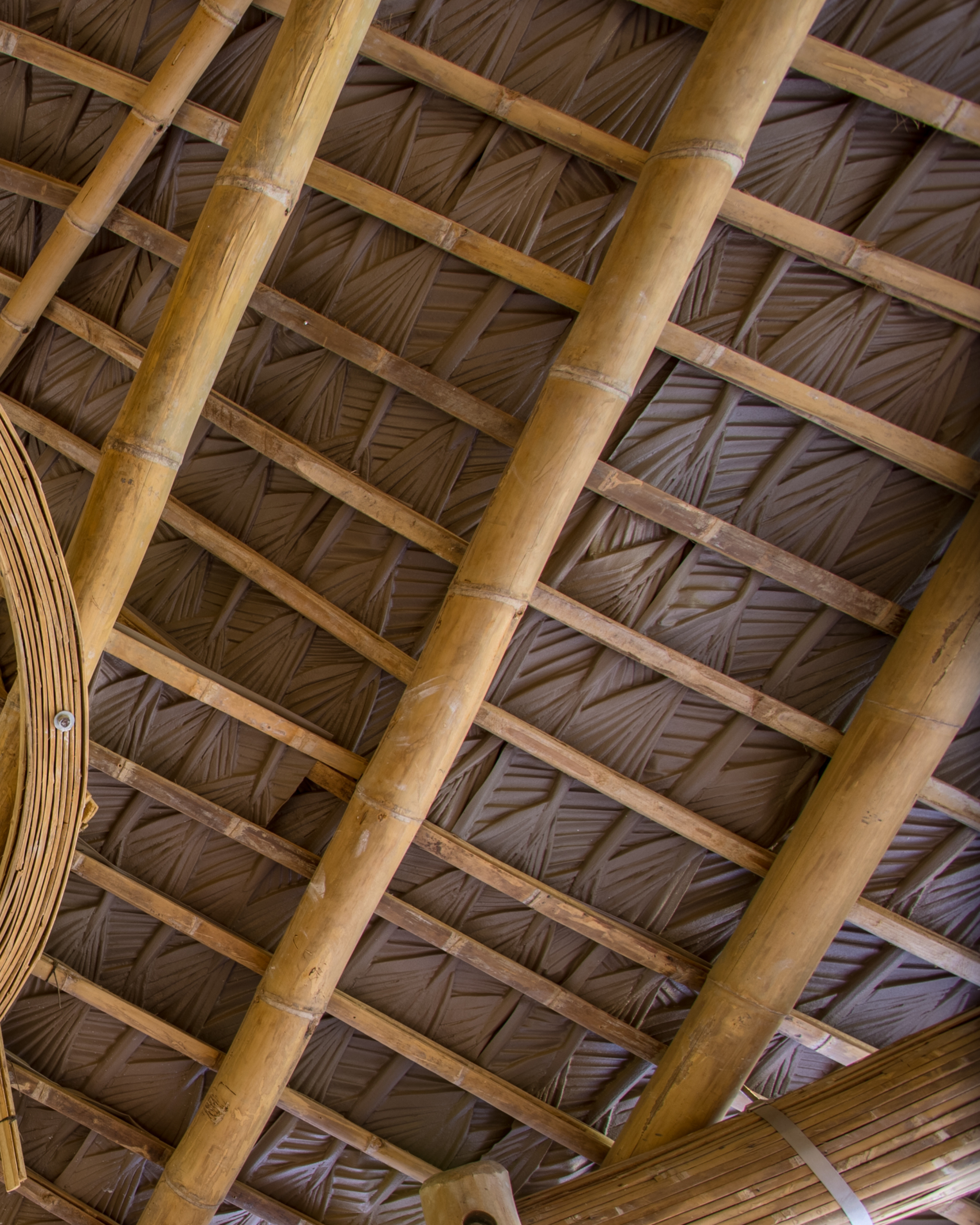 Interior Profile Palm