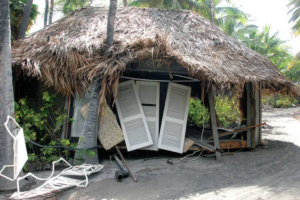 Kona Village Resort hale bungalow with natural grass thatch roof destroyed by 2011 Hawaii tsunami — the damage that led to rebuilding with Endureed engineered thatch roofing