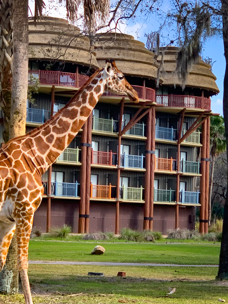Resort thatch roof with giraffe Disney Animal Kingdom Lodge Endureed engineered thatch