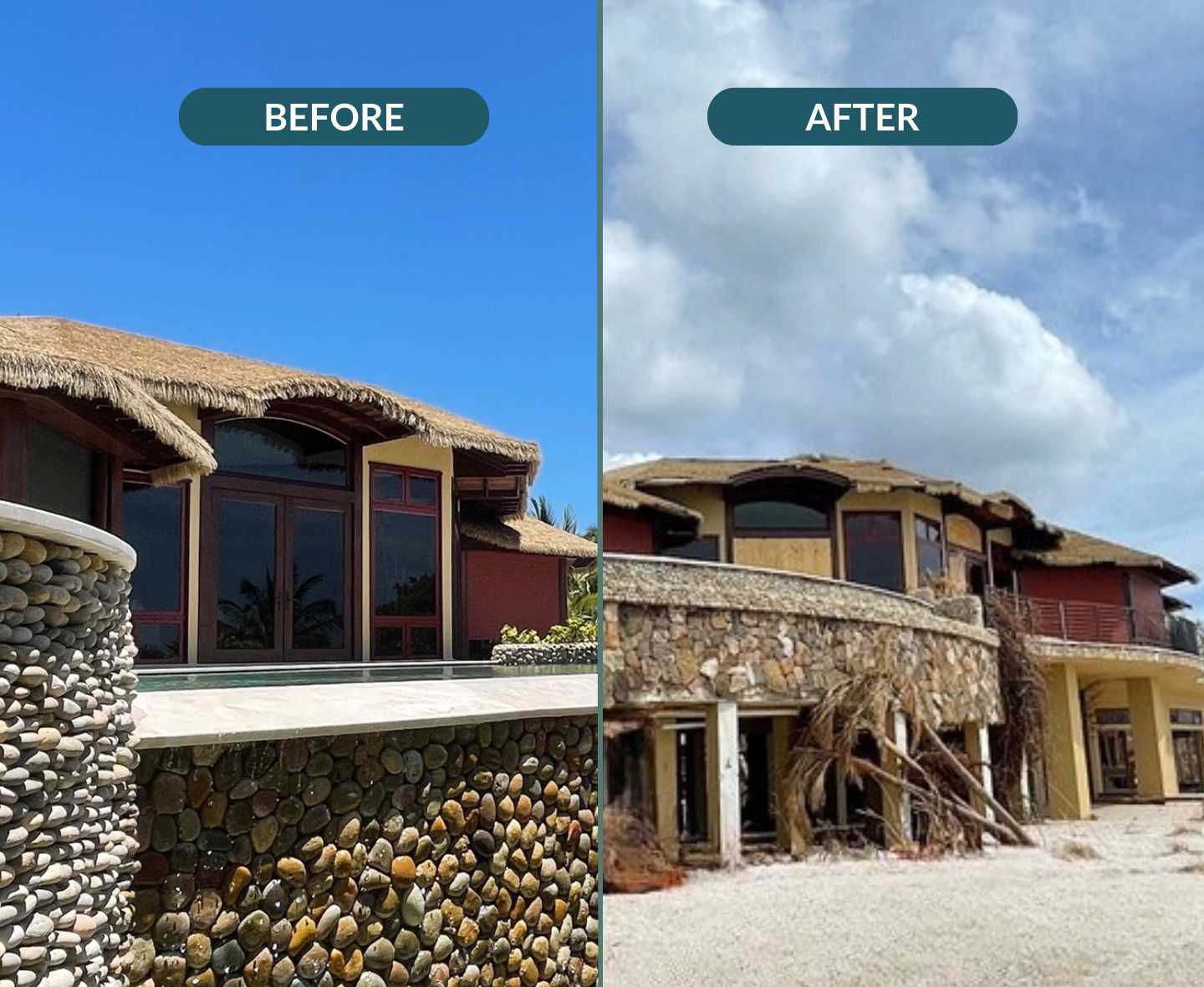 Judy Baum.Before+After