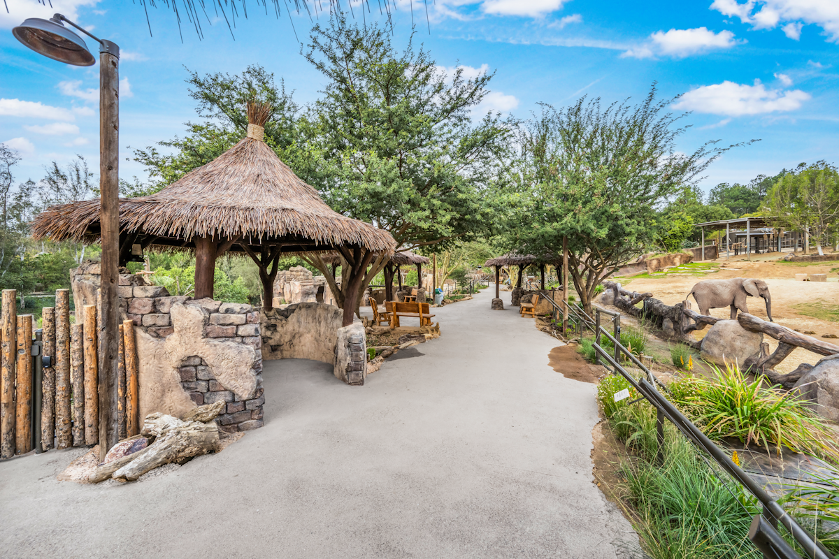 Endureed synthetic thatch gazebo with round conical roof along elephant exhibit pathway at San Diego Safari Park, demonstrating fire-rated engineered thatch for zoo and wildlife park design