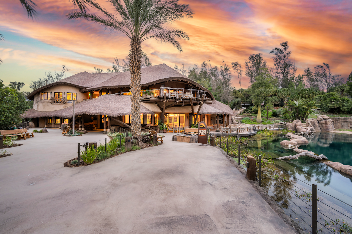 Elephant Valley lodge at San Diego Safari Park at golden hour, Endureed engineered thatch roofing covering large multi-wing safari lodge structure, commercial thatch roofing for zoo architecture