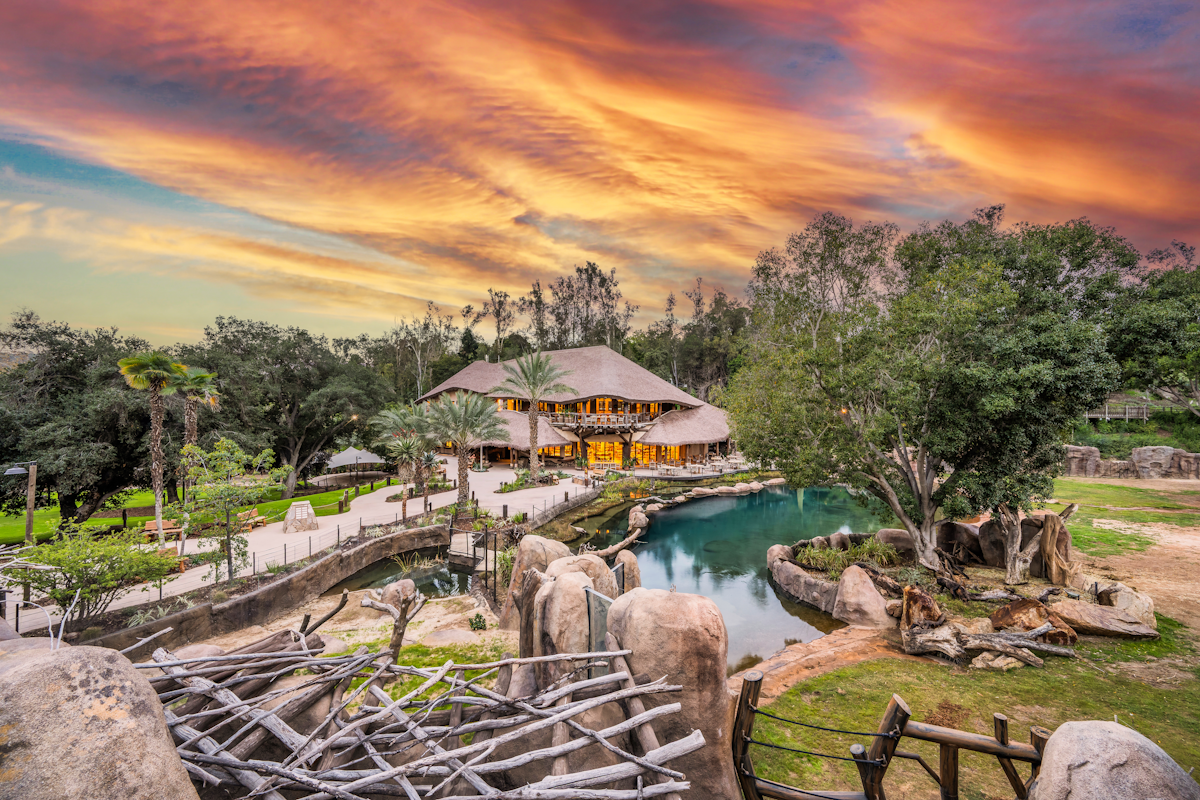 Aerial view of Endureed synthetic thatch roofing on Elephant Valley San Diego Safari Park lodge at sunset, large-scale commercial thatch installation for hospitality and entertainment venue design