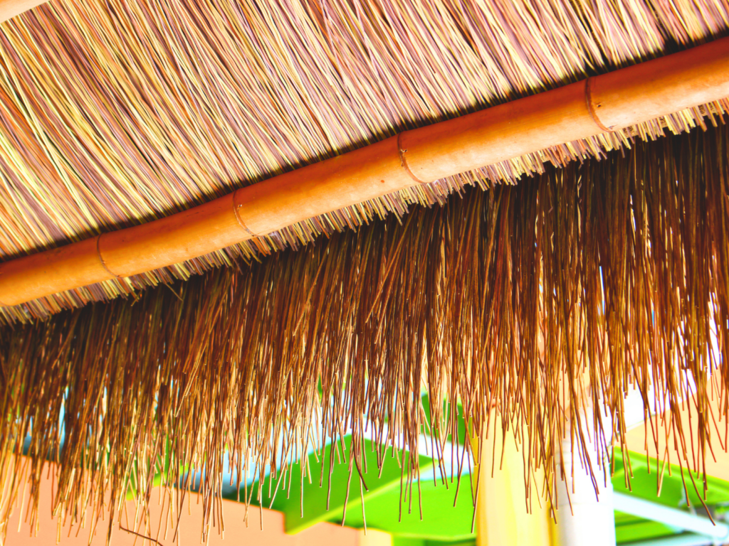Macro shot of Endureed Premium Bali thatch roof eave at Chuy's restaurant, showing the underside edge detail, individual fiber strands, and bamboo rafter, with tropical landscaping visible below.