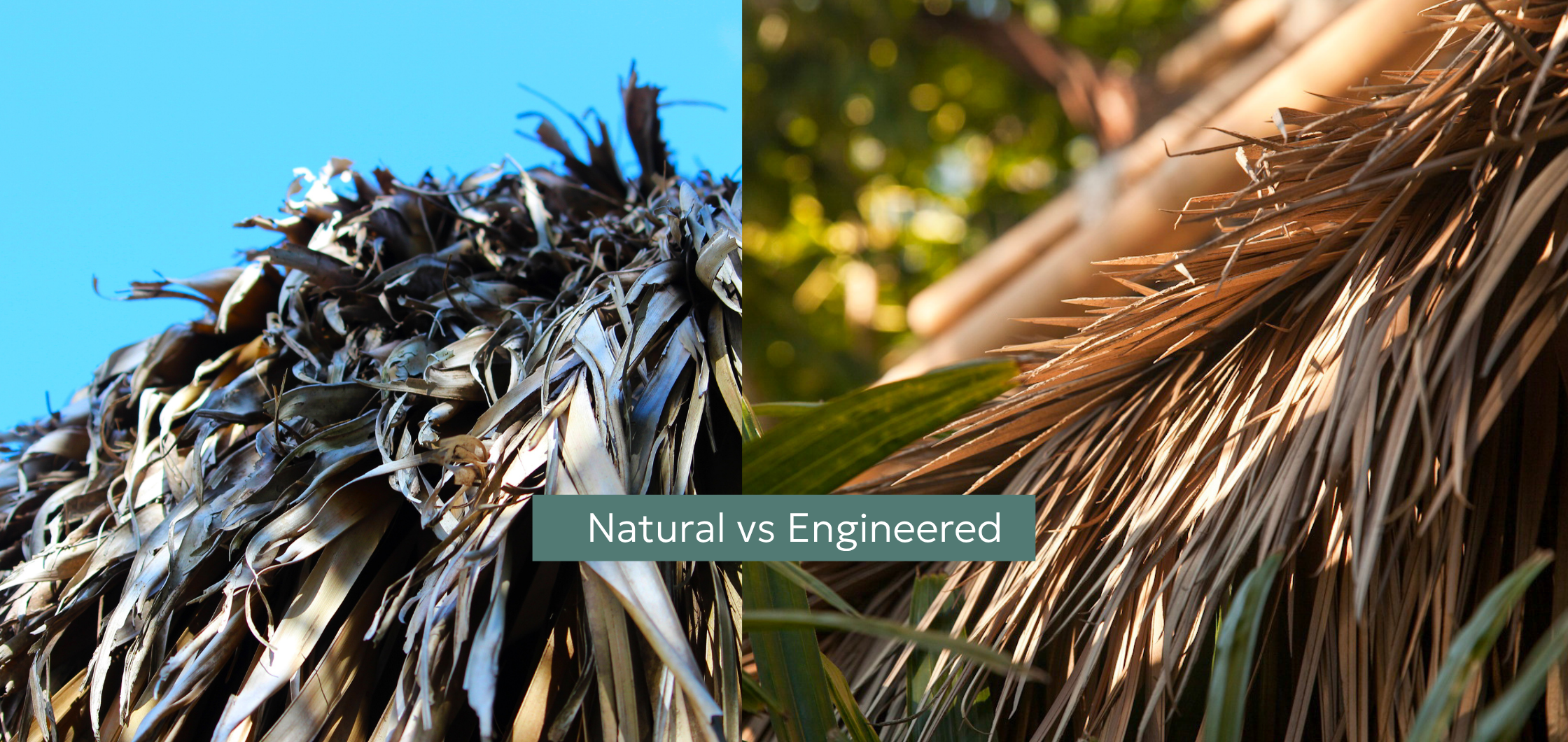 Synthetic vs. Natural Thatch Cost