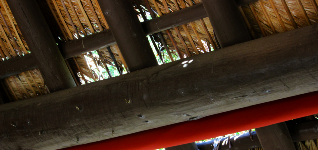 Natural thatch degradation