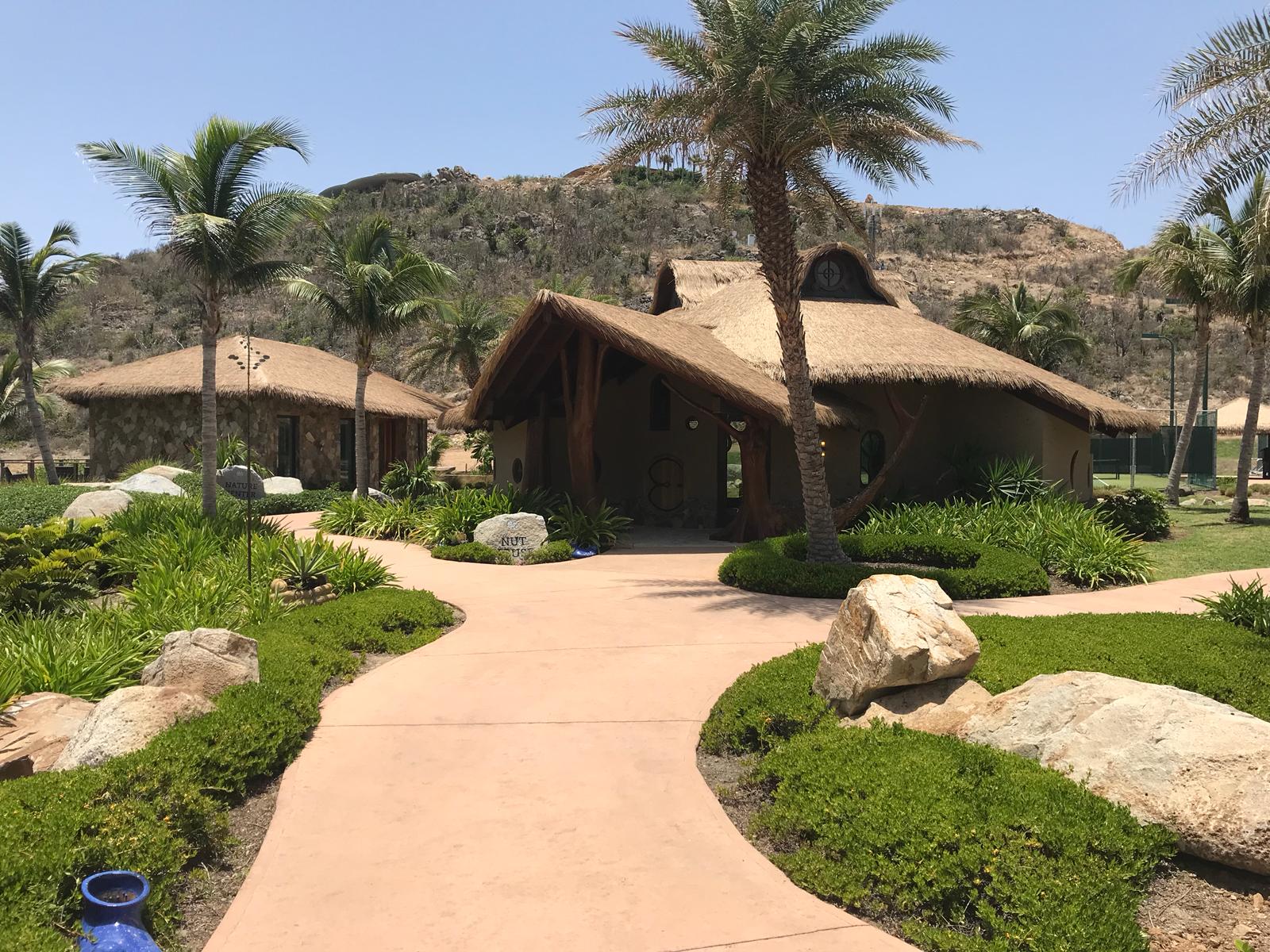 Nut House exterior residence thatch roof capetown wide engineered premium resort