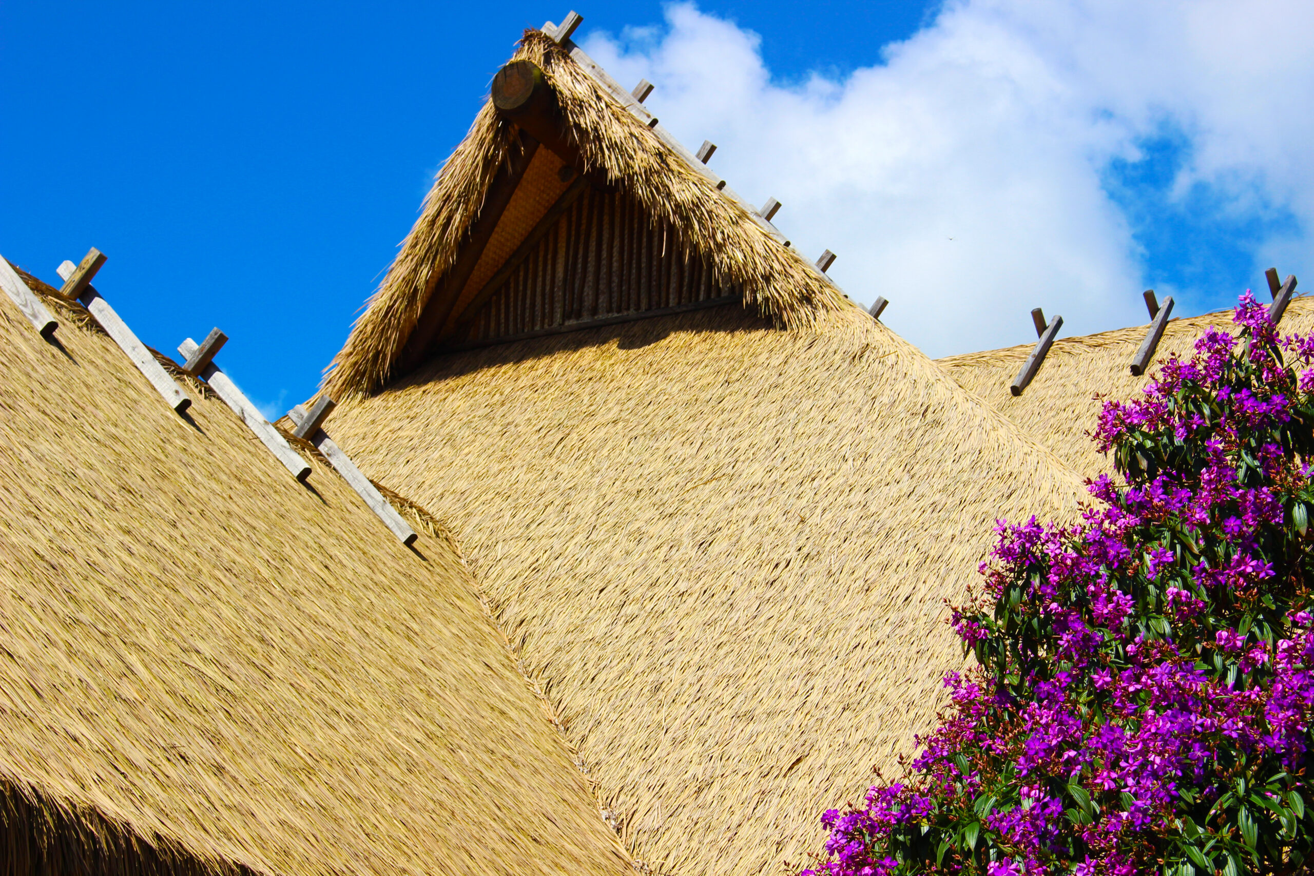 Endureed synthetic thatch eave detail with sunlight filtering through fronds at Discovery Cove Orlando, engineered thatch roofing for immersive tropical theme park landscape architecture