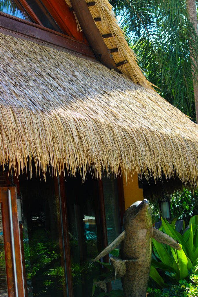 Endureed engineered thatch roof eave and overhang detail at Discovery Cove Orlando, synthetic thatch on tropical immersive theme park structure with natural fiber texture and deep fringe