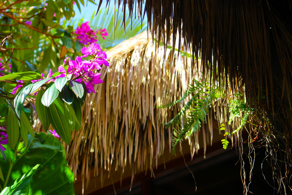 Endureed synthetic thatch eave detail with sunlight filtering through fronds at Discovery Cove Orlando, engineered thatch roofing for immersive tropical theme park landscape architecture