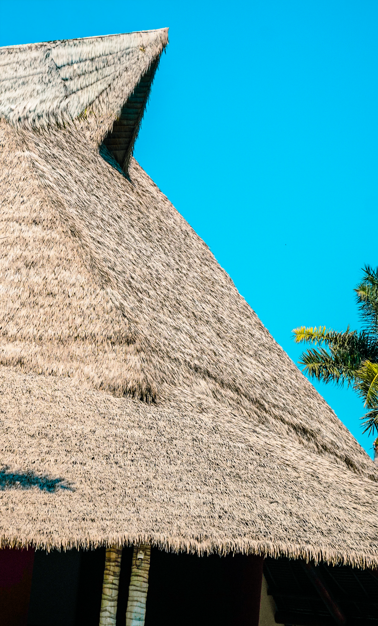 Performance Weathered Palm engineered thatch texture close-up Iberostar Playa Mita resort installation Endureed