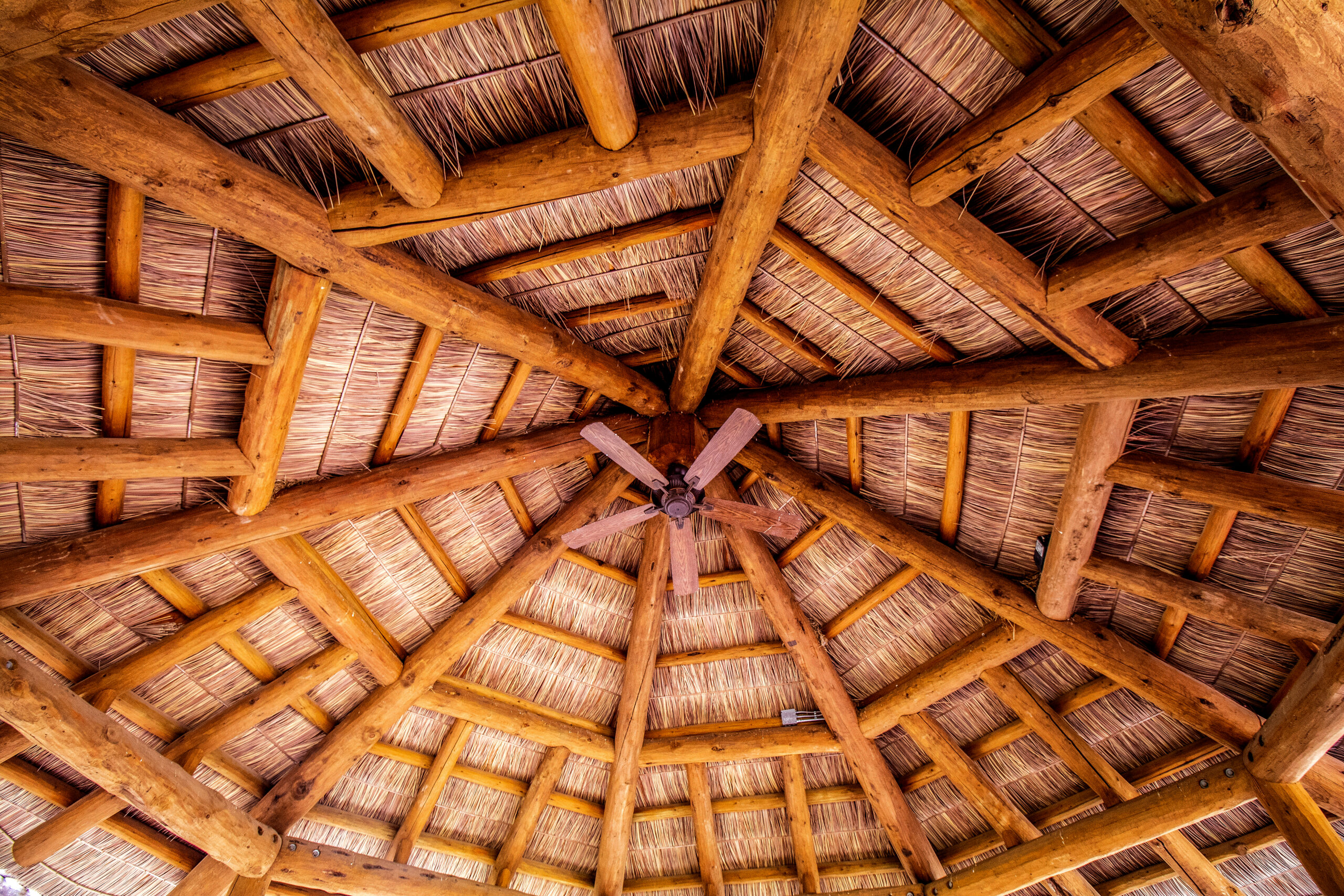 Endureed Premium Capetown thatch texture detail at Omaha Zoo, layered fronds showing craftsmanship in summer conditions