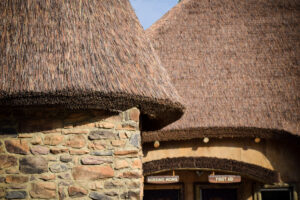 nashville zoo close up thatch roofing texture photo synthetic material