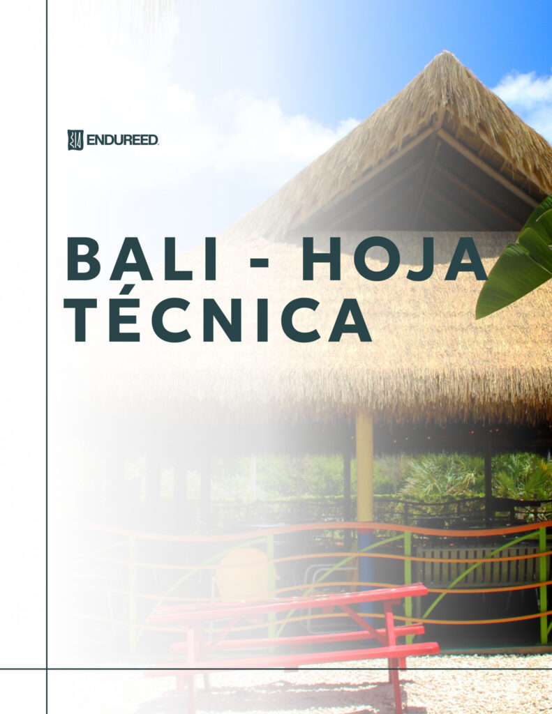 Bali - 2