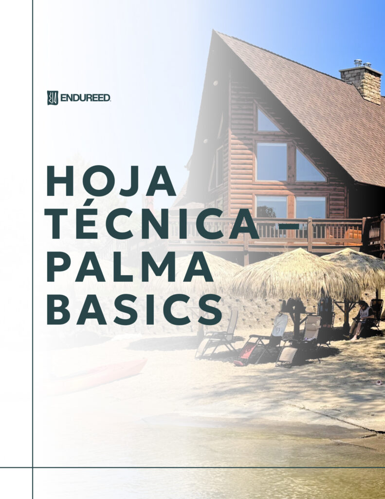 Basics Palm - 2