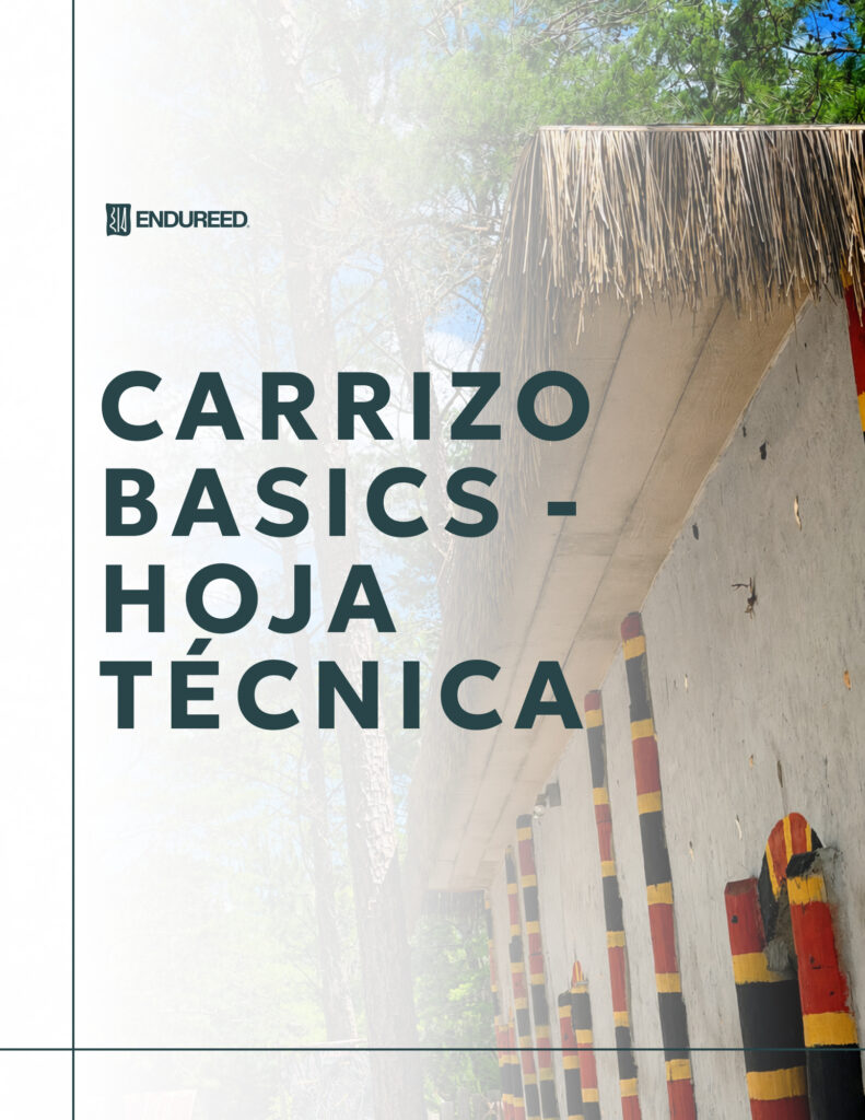 Basics Reed - 2