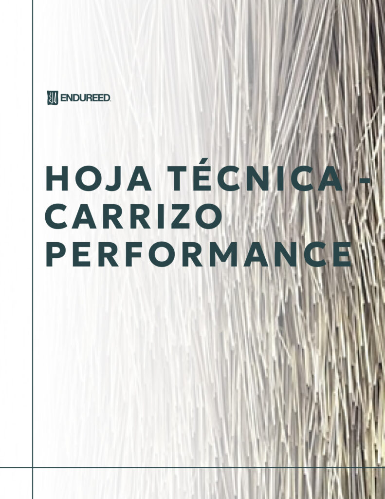 Performance Reed - 2
