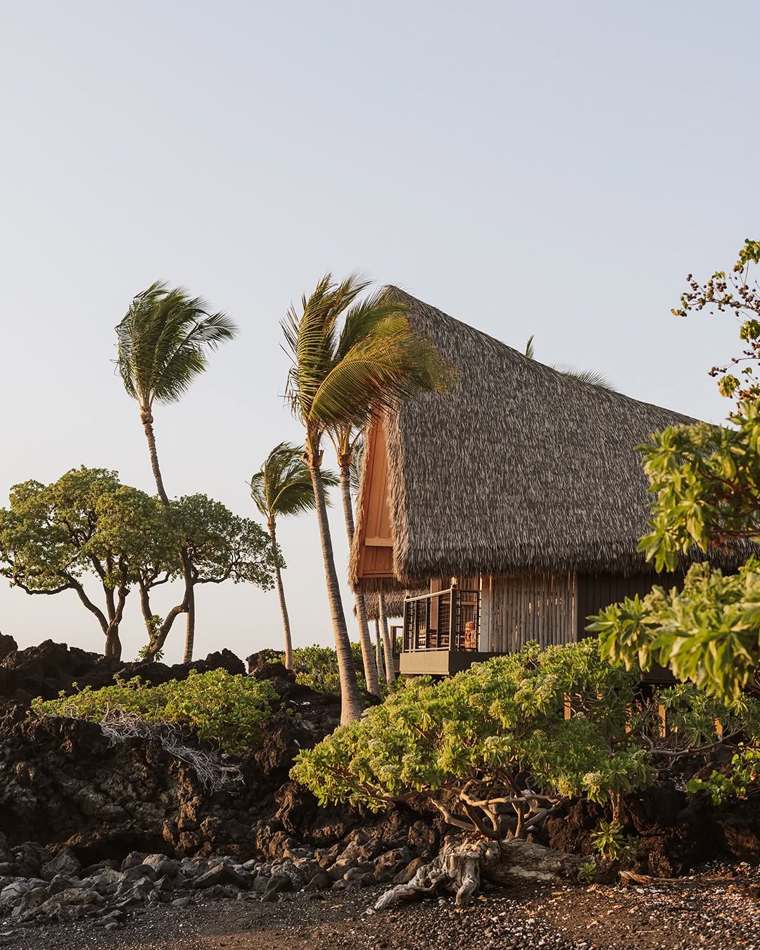 Kona Village Long Shot Big Island House with Thatched Roof