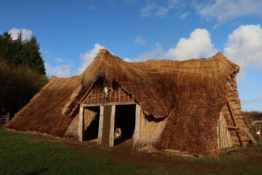 Ancient Natural Thatch Farm Wide Crafted